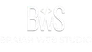 Logo BraianWebStudio